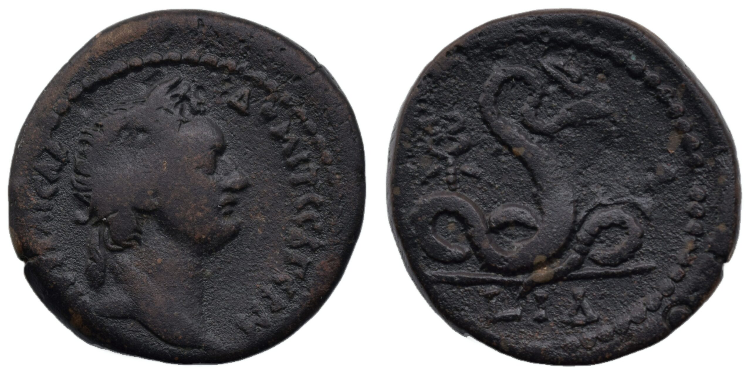 Only 3 specimens in RPC. Domitian Æ Diobol of Alexandria, Egypt. Dated RY 14 = AD 94/5. Roman Provincial